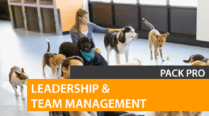 Leadership & Team Management