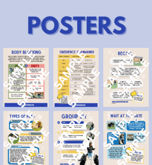 Posters