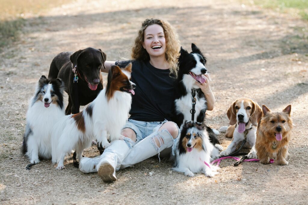 Happy woman sitting outdoors with a group of seven dogs on a sunny day.